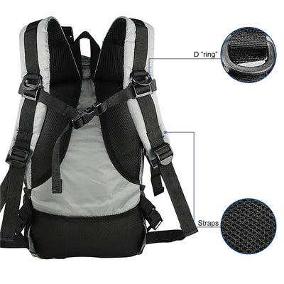 Backpack with labeled straps and D-ring on a white background